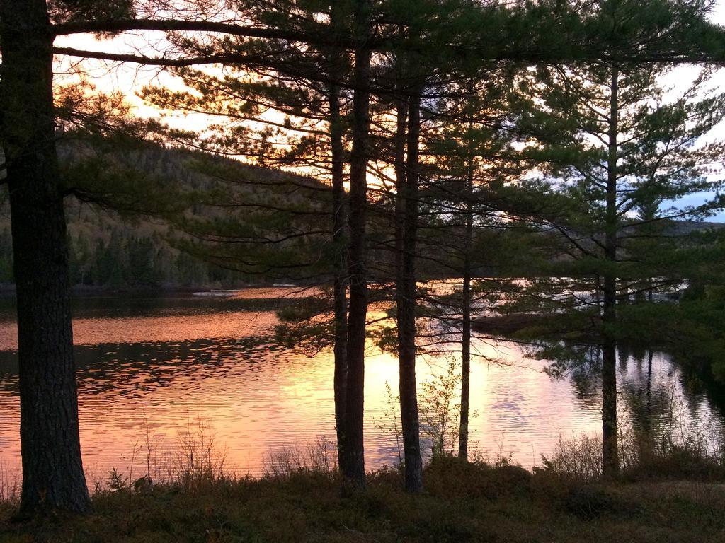 Auberge La Taniere Tadoussac Luaran gambar